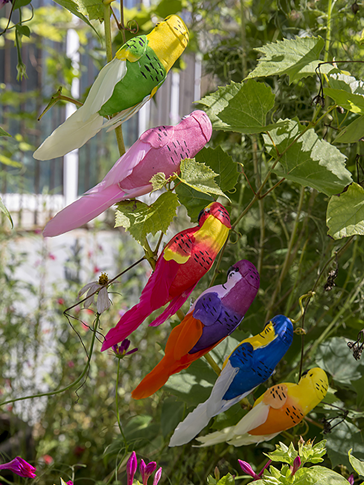 Papier de décoration de cage à oiseaux