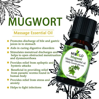 pure organic mugwort essential oils