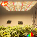 Energy Efficient Grow Lights