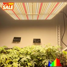 New Type 320w Led Panel Led Grow Light