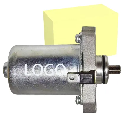 High Quality Factory PEP Scooter Motors: PEP Plus, Streak, Zest, and Electric Self-Starter Motor Assay