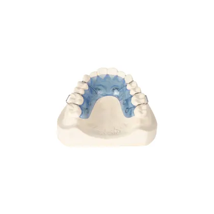 Dental Teeth Orthodontic Appliance