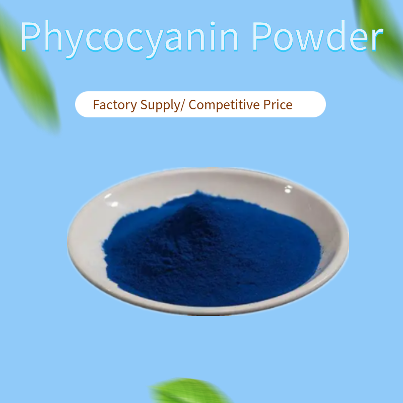 Wettbewerbsfähiger Preis blauer Spirulina Pulver Bio