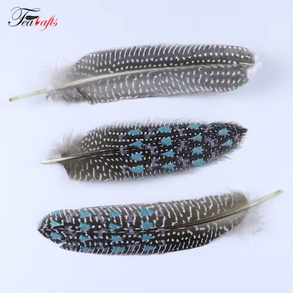 Factory Wholesale: Dyed and Natural Pheasant & Guinea Fowl Feathers - Ideal for Handicrafts Making