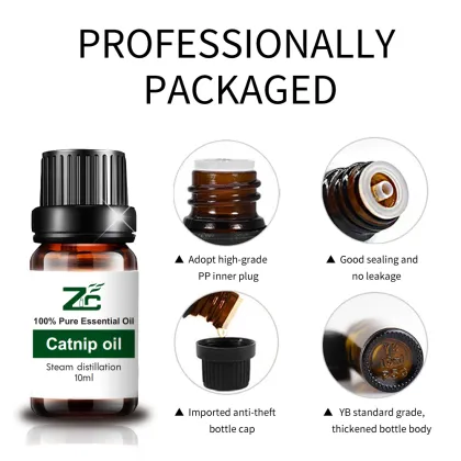 Natural Aromatherapy Oils  Catnip Essential Oil