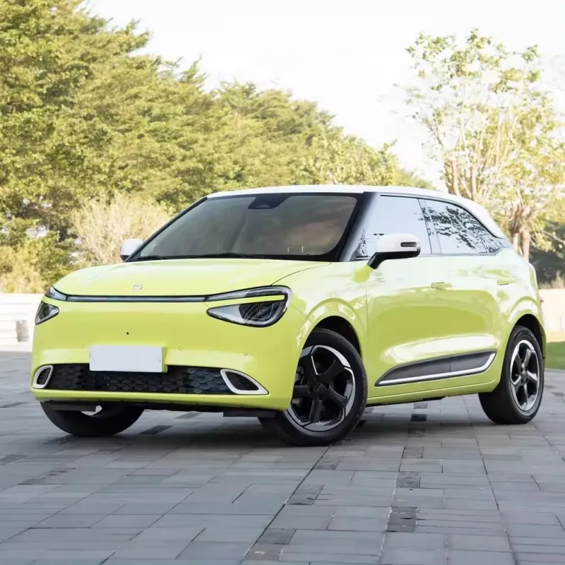 Eco-Friendly Nano 01 Model 330 Air Vehicle