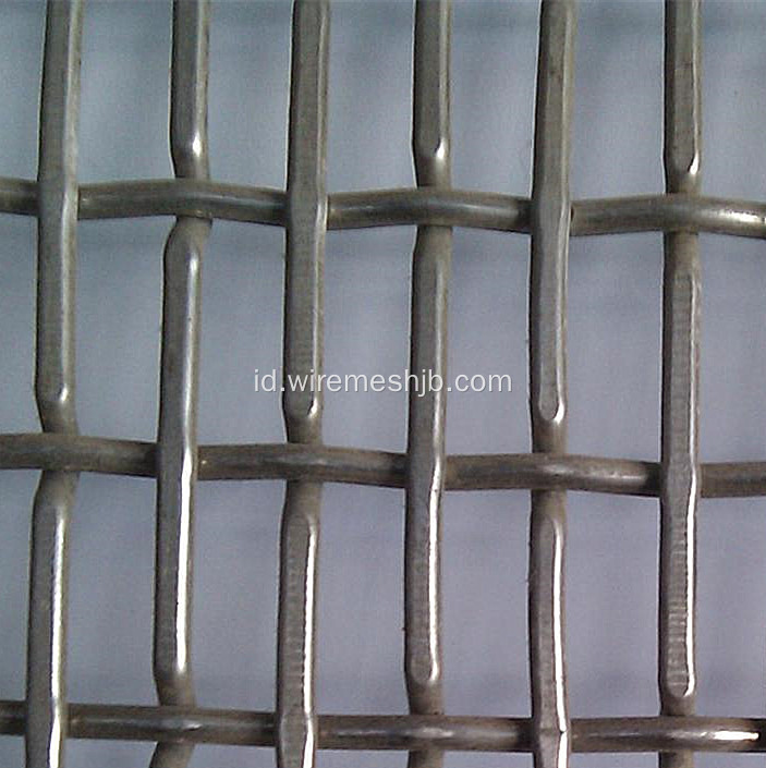 SS Crimped Wire Mesh Screen