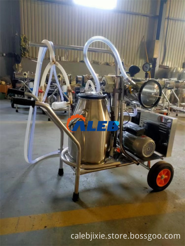 Hot Sale Cow Milking Machine: A Comprehensive Guide to Dairy Processing Machines with Double Bucket Vacuum Pump