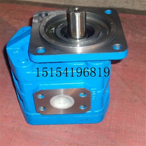 Jinan Hydraulic Pump Co.,ltd Jhp Gear Pump Jhp2100 Jhp2080 Jhp2063