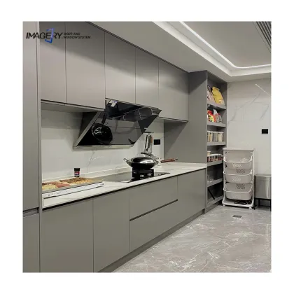 Modern Silver Kitchen Cabinets with Aluminum Profiles and Modular Hardware