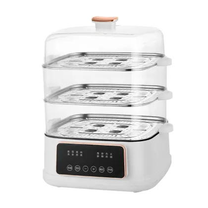 Multifunctional Home Electric Food Steamer and Hot Pot