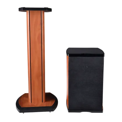 Bookshelf speaker amp stands for tv