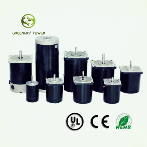 24V DC Motors 600W 3000 giri motore