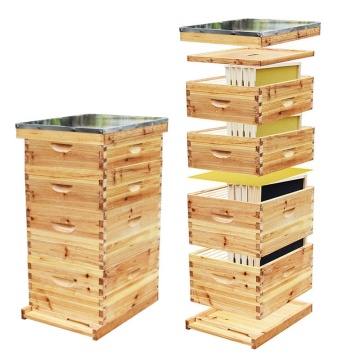 Complete Beekeeping Supplies: Four Layer Langstroth Bee Hive Kit