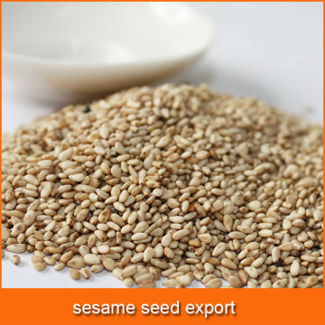 sesame seed export