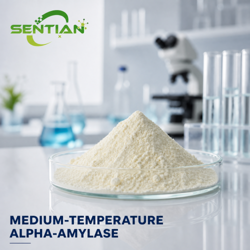 Medium-Temperature Alpha-Amylase Enzyme for Brewing
