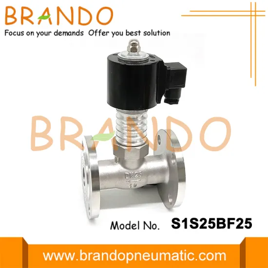DN25 High Temperature Steam Stainless Steel Solenoid Valve