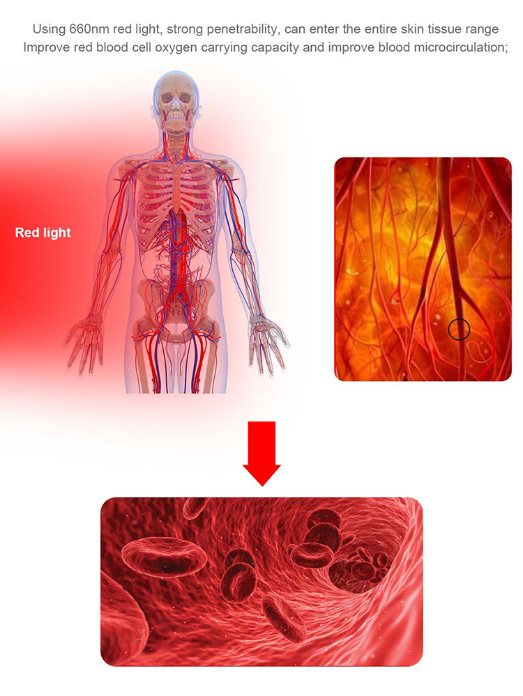 Fat loss spa bed customize light therapy bed