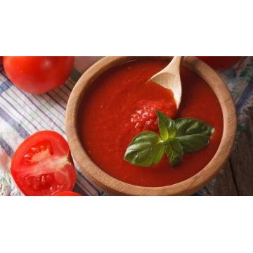 70g organic sachet tomato paste