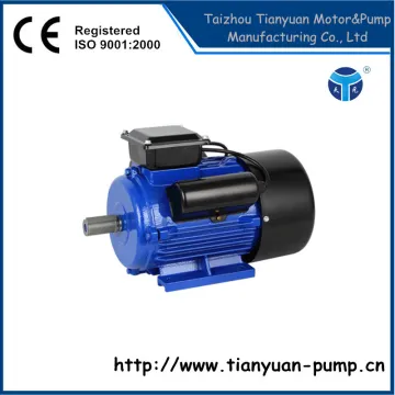 YL100L1-4 Single Phase Electric Motor 110V 3HP