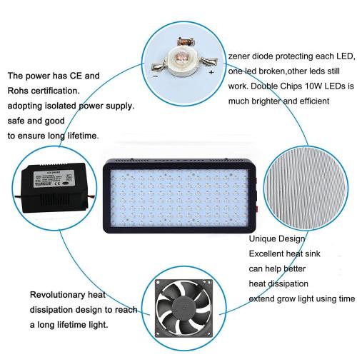 La mejor planta de interior LED crece Light 1200W