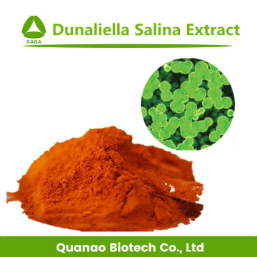 Salt Algae Dunaliella Salina Extract Beta Carotene 1%