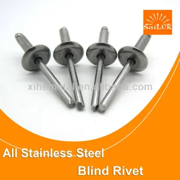 Painting various color blind rivets Stainless steel blind Rivets