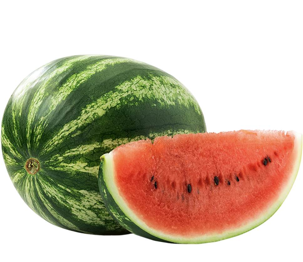 Industrial Watermelon Seed Protein Powder