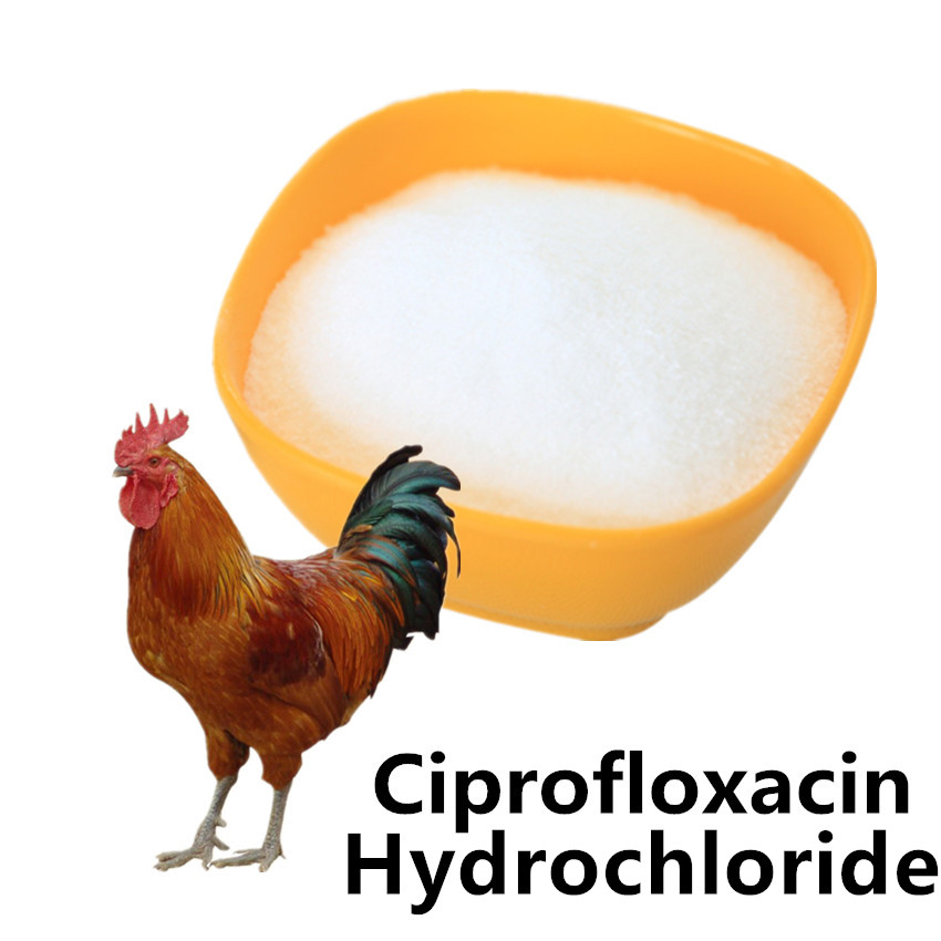 Ciplox como comprar