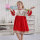 Wholesale christmas baby girls embroidery dress