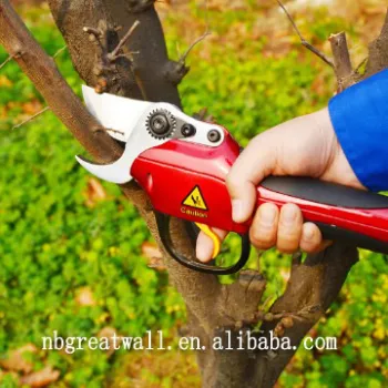 Telescopic Tree Branch Pruner