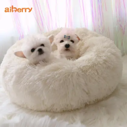 Best Small Pet Furniture Beds Sofa Accessories