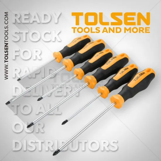 6PCS SCREWDRIVER SET