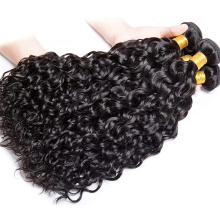 Brazilian Human Hair Water Wave Hair Bundles