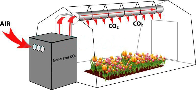 Hydroponics Greenhouse liqude CO2 Generator