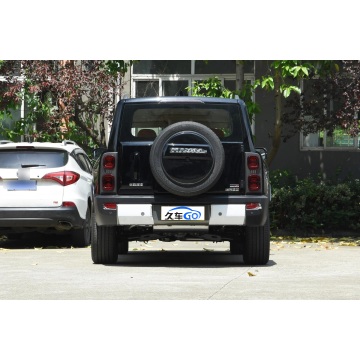 HAVAL Fierce Dragon 5-Seater with 110KM Battery