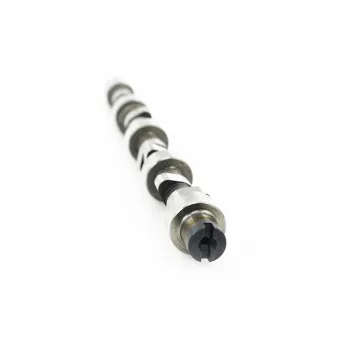 Affordable High-Performance Custom Camshaft 1006011FE010 for Automobile Engine Parts