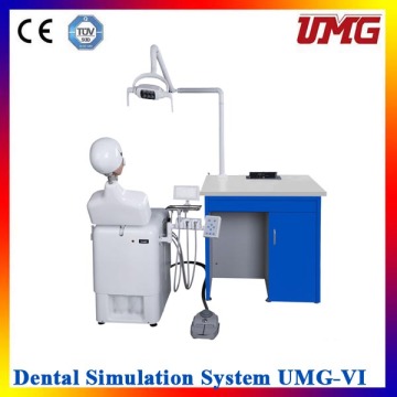 china dental products Hygiene Demonstration Model