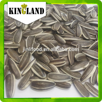 confectionary sunflower seeds