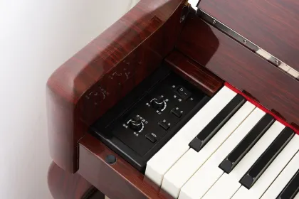 SPYKER Classic Design MIDI Wood Keyboard: Solid Wood Upright Digital Piano