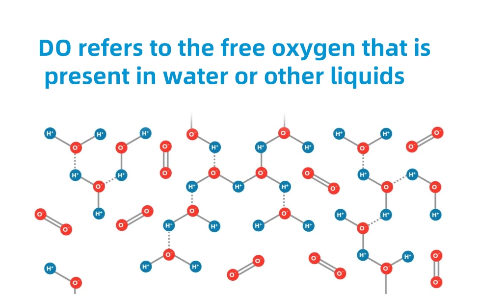 DO & Dissolved Oxygen
