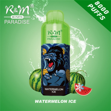 Customs Disposable Electronic Cigarette R&M Paradise 8K