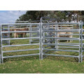 Top quantity galvanized heavy duty used livestock panels