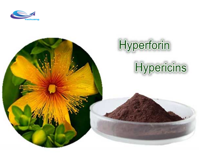 Hypericum Perforatum Extract7 Png