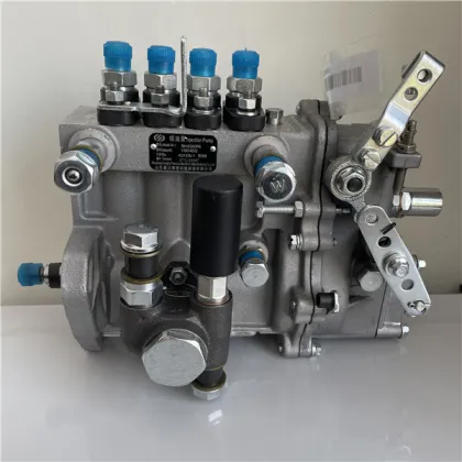 4QTF640 Kangda Diesel Fuel Injection Pump for Changfa Engine