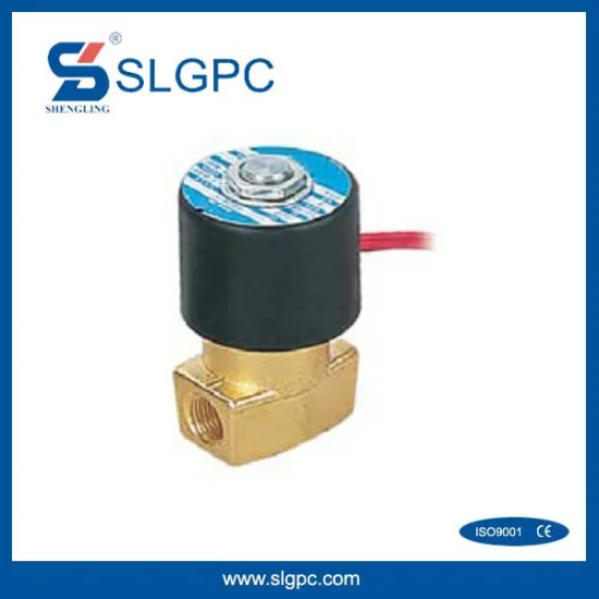 Two position two way coiled solenoid coil valve 110V GBS-SLG22-08