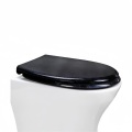 Fanmitrk UF Toilet Seat Quick-Release Soft-Close Black 01-11