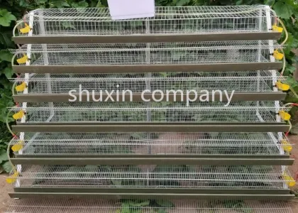 Poultry Quail Equipment: Layer Quail Cage with Automatic Feeder