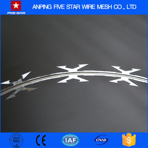 ISO9001 Cheap Galvanized Razor Barbed Wire BTO-22 30