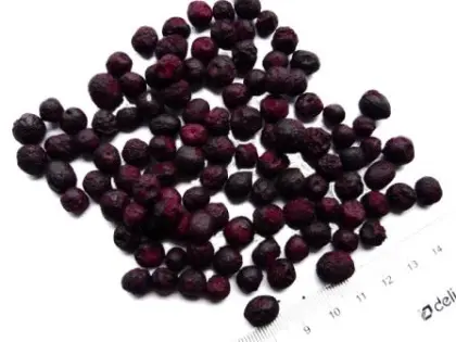 Freeze dried blueberry